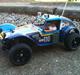 Buggy Tamiya Holiday Buggy 2010