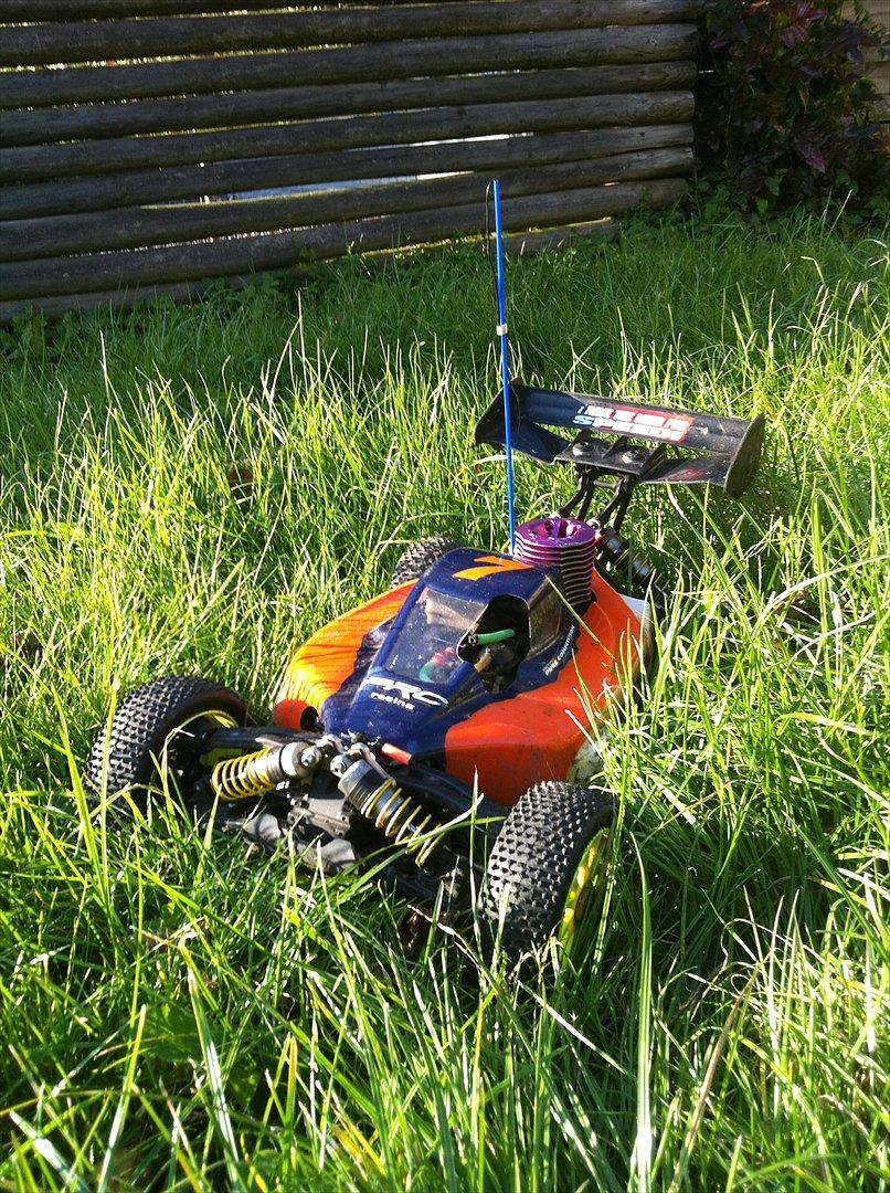 Buggy Ishima rave m1.0s billede 11