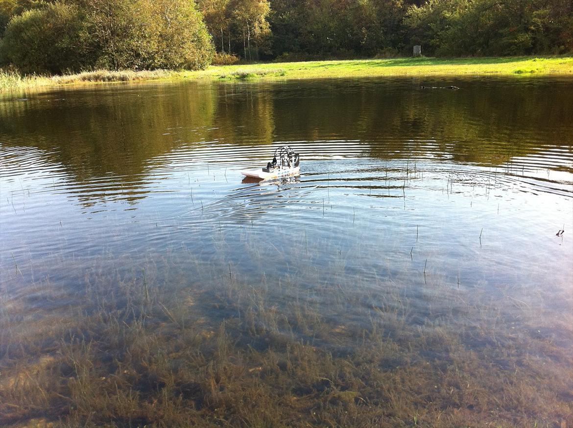 Båd                Swamp Dawg billede 3