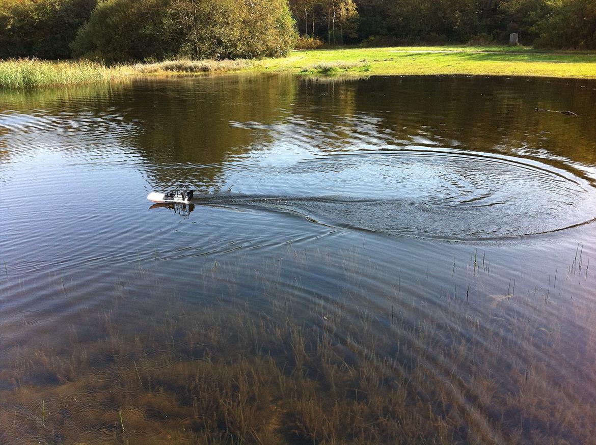 Båd                Swamp Dawg billede 5