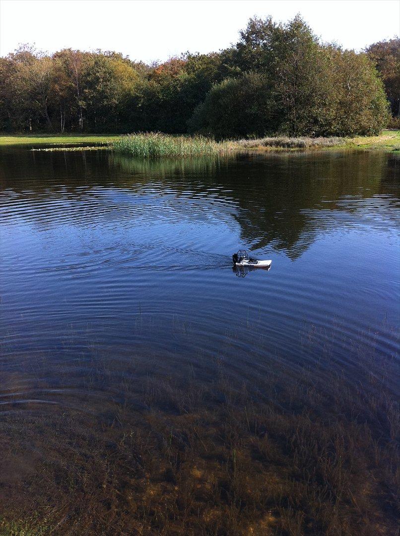 Båd                Swamp Dawg billede 6