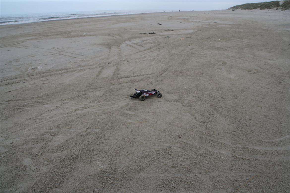 Buggy Traxxas Bandit vxl billede 11