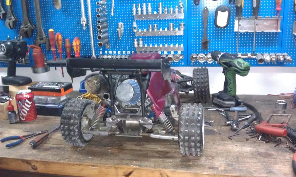 Buggy fg marder billede 6