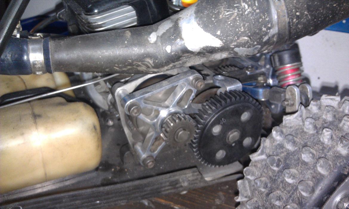 Buggy fg marder billede 8