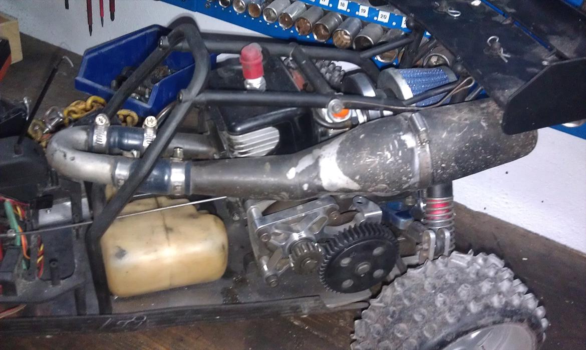 Buggy fg marder billede 10