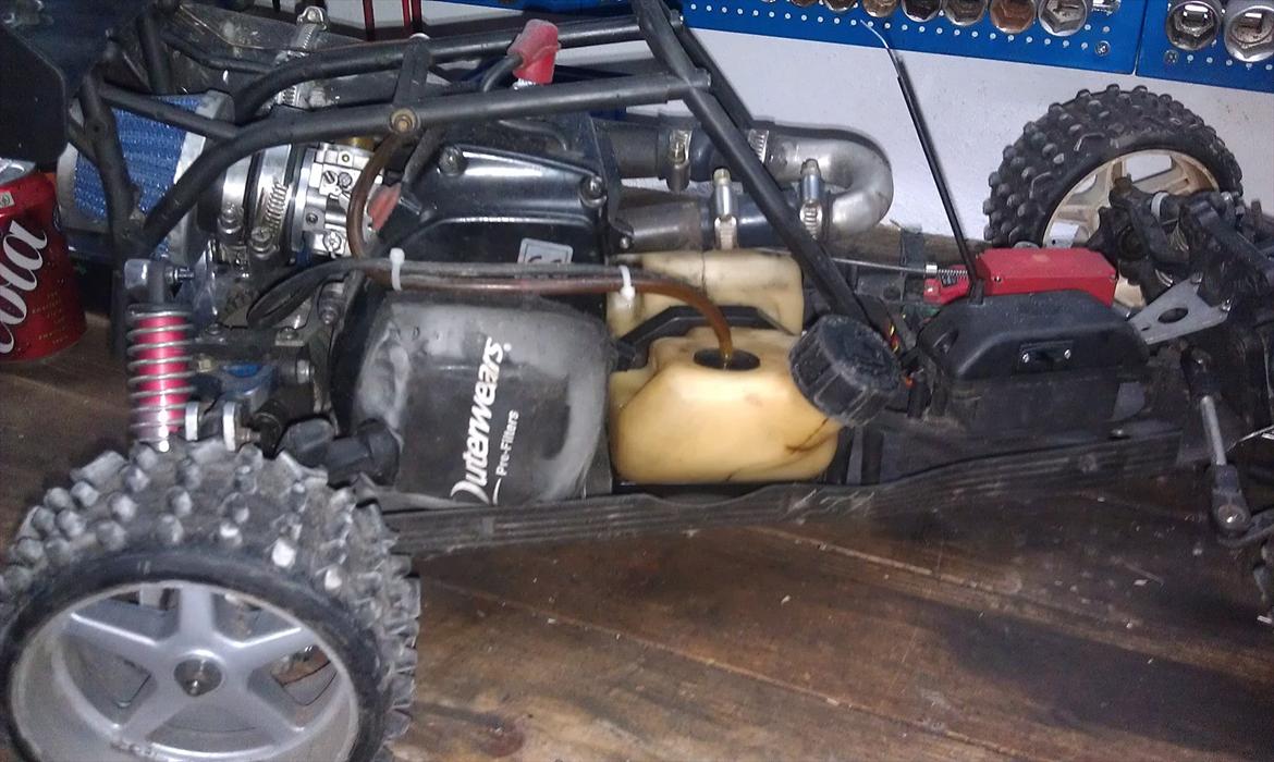 Buggy fg marder billede 11