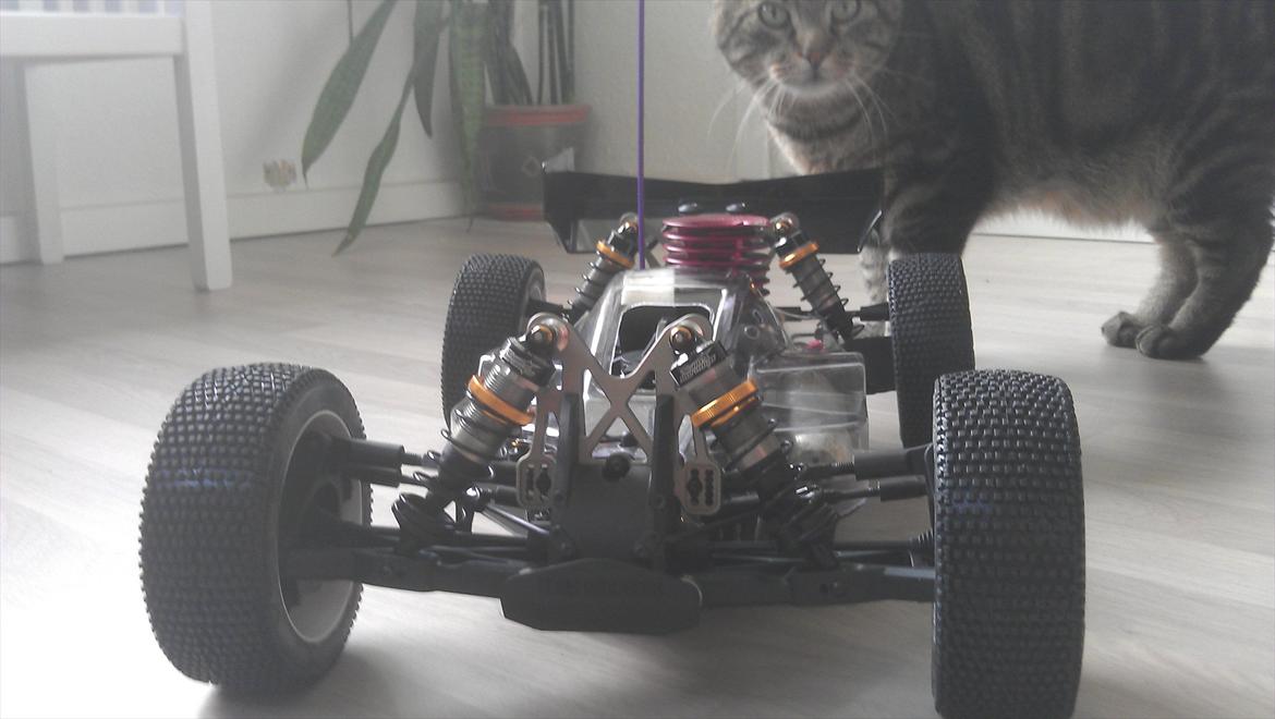 Buggy Team Durango DNX 408 billede 7