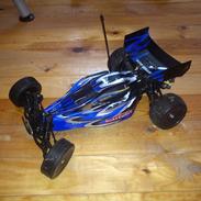 Buggy HBX Quackewave