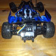 Buggy HBX Quackewave