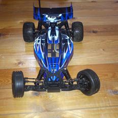 Buggy HBX Quackewave