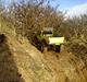 Truck Axial scx 10