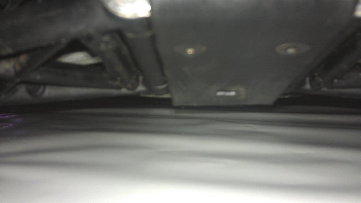 Buggy baja  billede 11