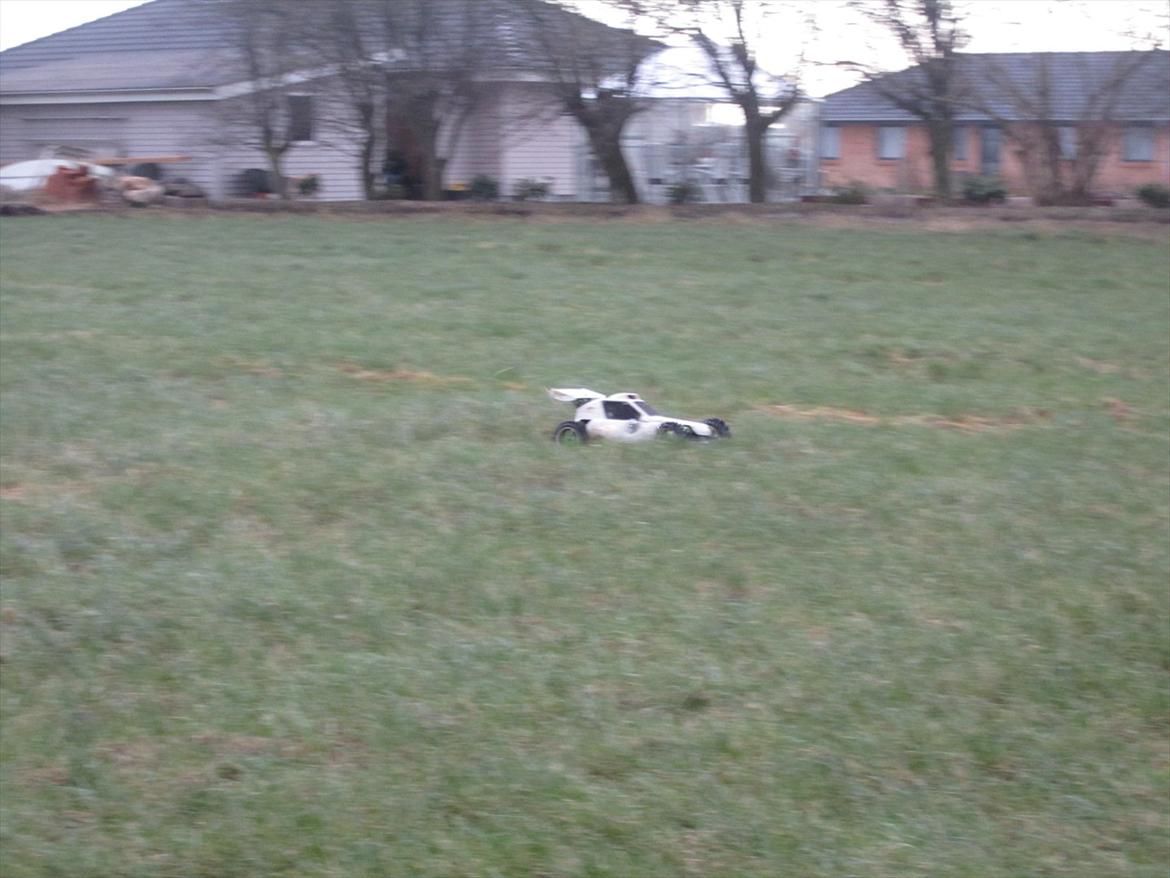 Bil  FG Marder billede 17