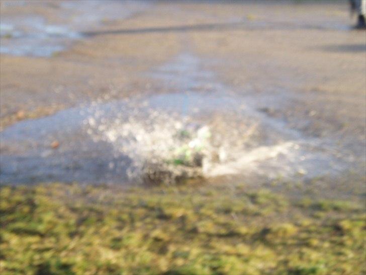 Off-Roader Traxxas Monster jam (Grave Digger) billede 10