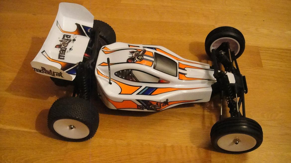 Buggy Ansmann Mad Rat billede 1