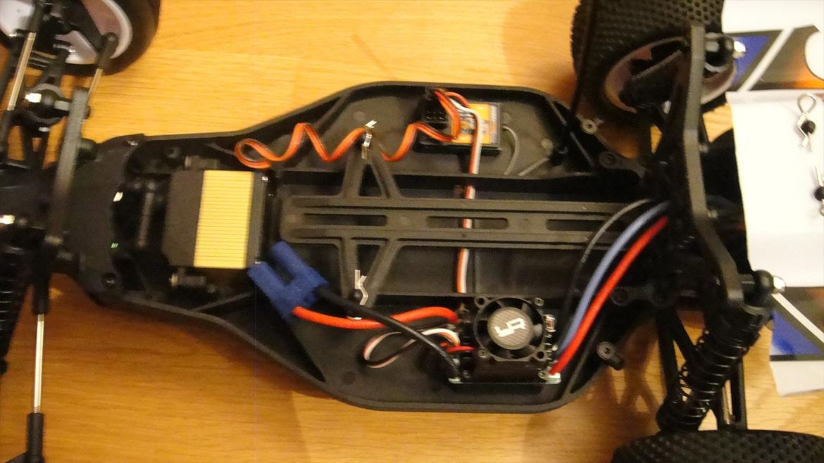 Buggy Ansmann Mad Rat billede 6