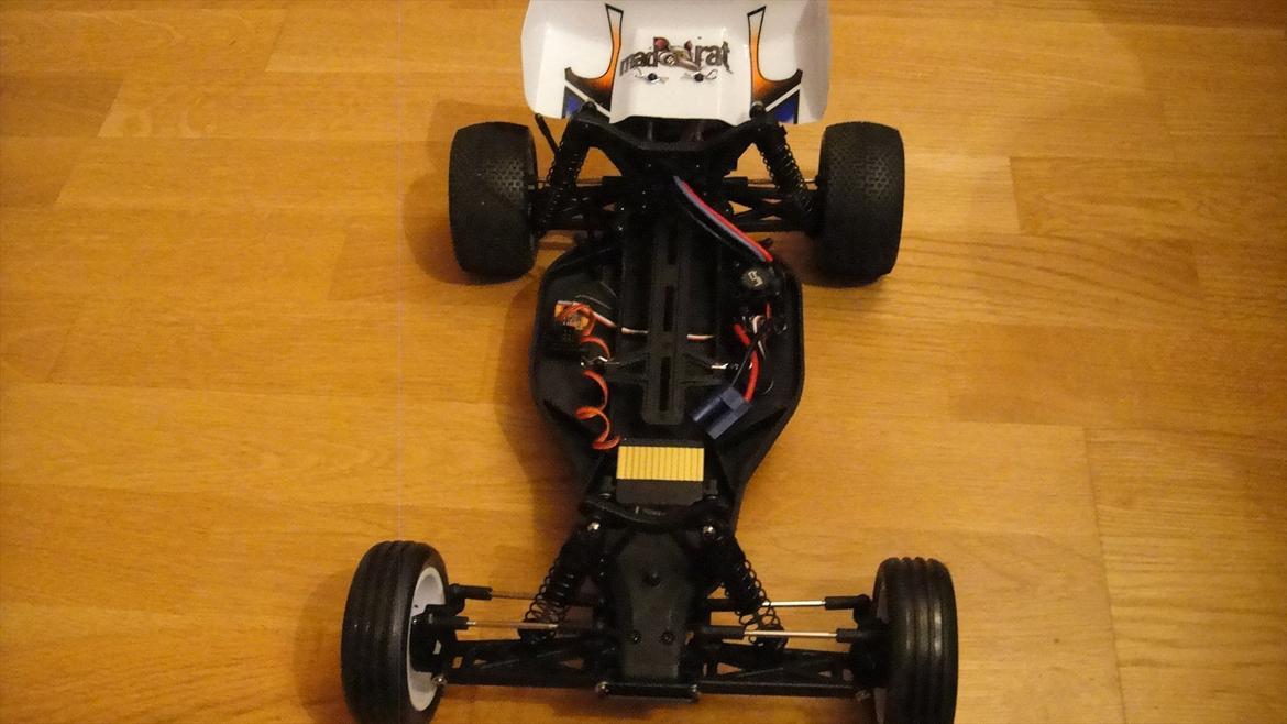 Buggy Ansmann Mad Rat billede 8
