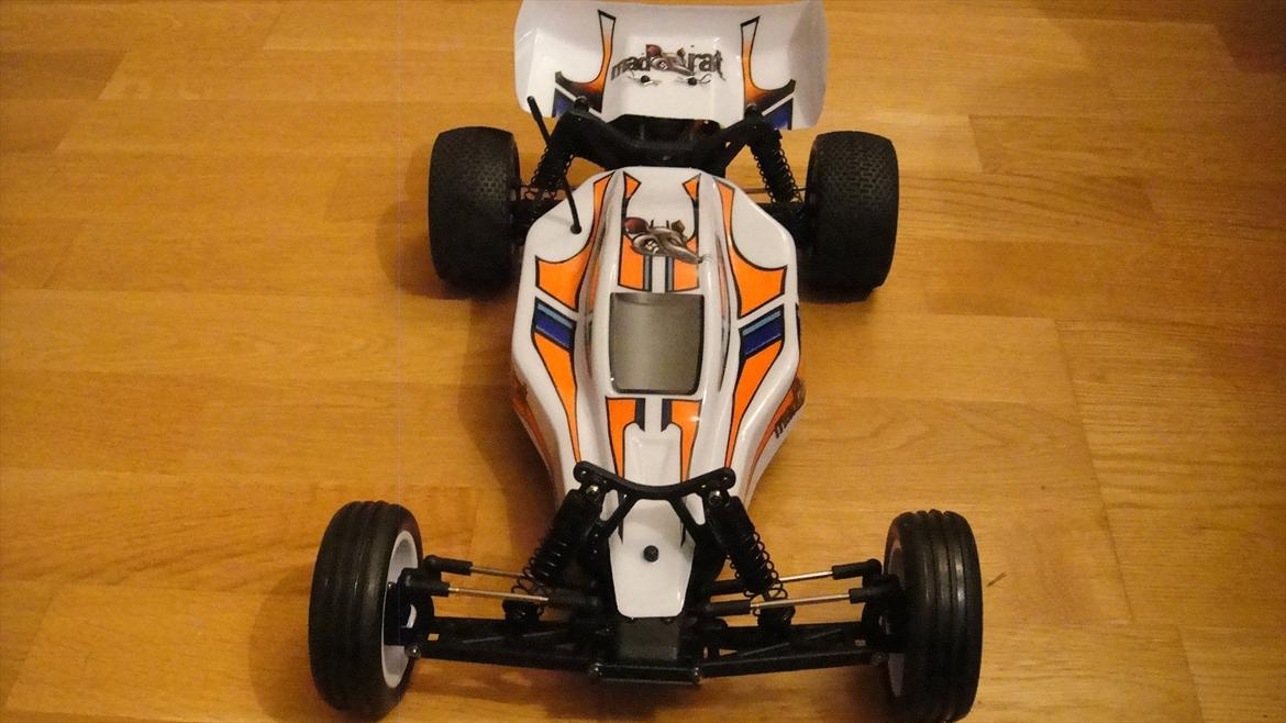 Buggy Ansmann Mad Rat billede 5