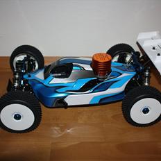 Buggy Losi 8ight 2.0