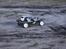 Buggy tamiya fav