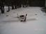 Fly dynam supercub