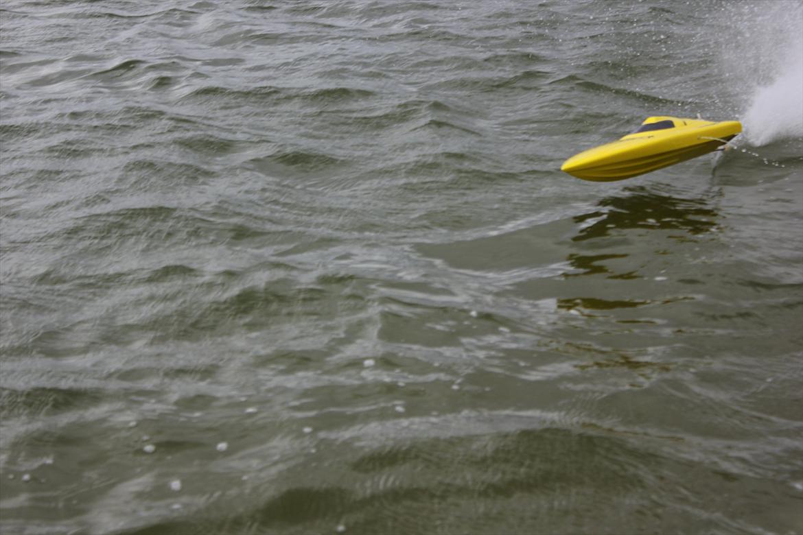 Båd Pursuit V-hull billede 6