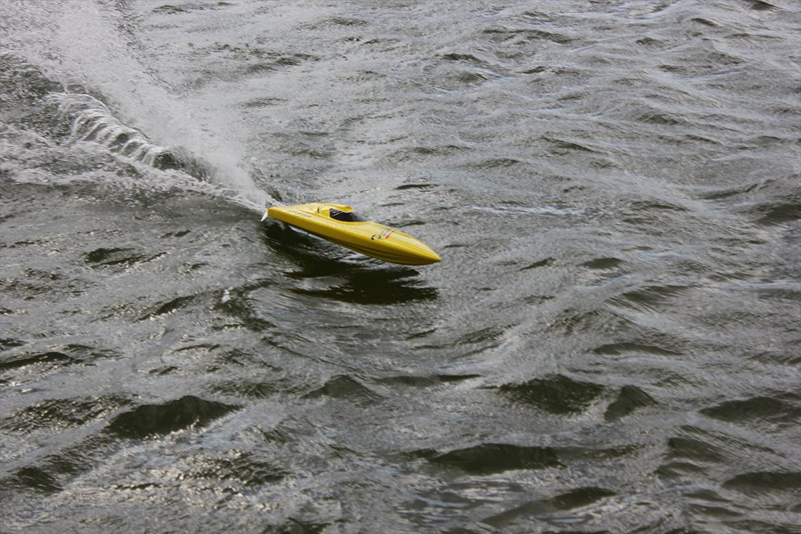 Båd Pursuit V-hull billede 11