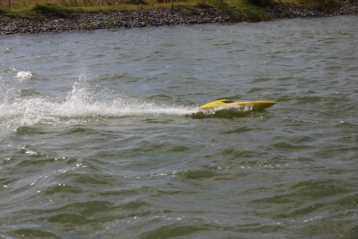 Båd Pursuit V-hull billede 17