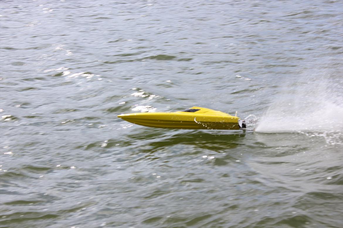 Båd Pursuit V-hull billede 19