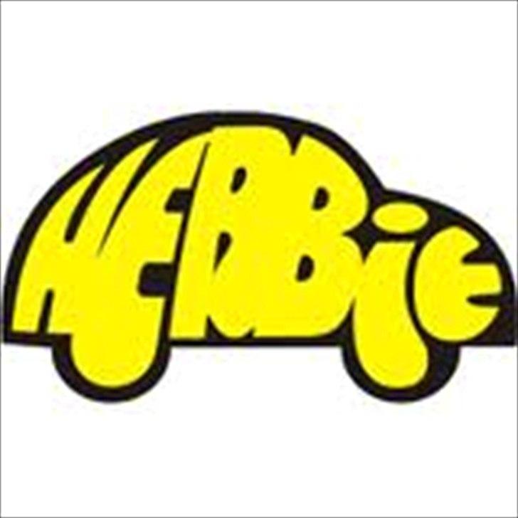 Bil tamiya vw bobbel (HERBIE) billede 9