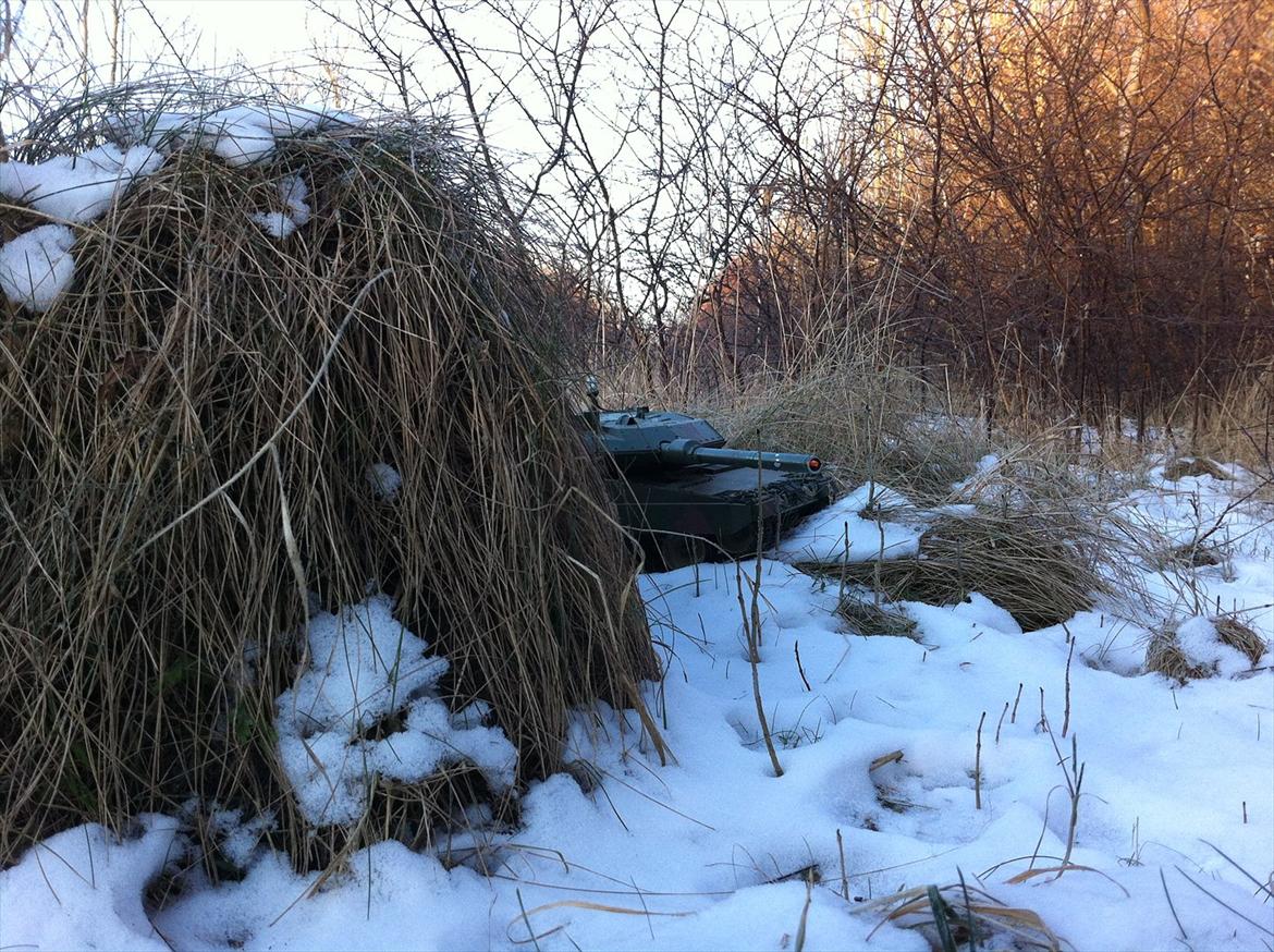 Militær | Leopard 2 billede 15