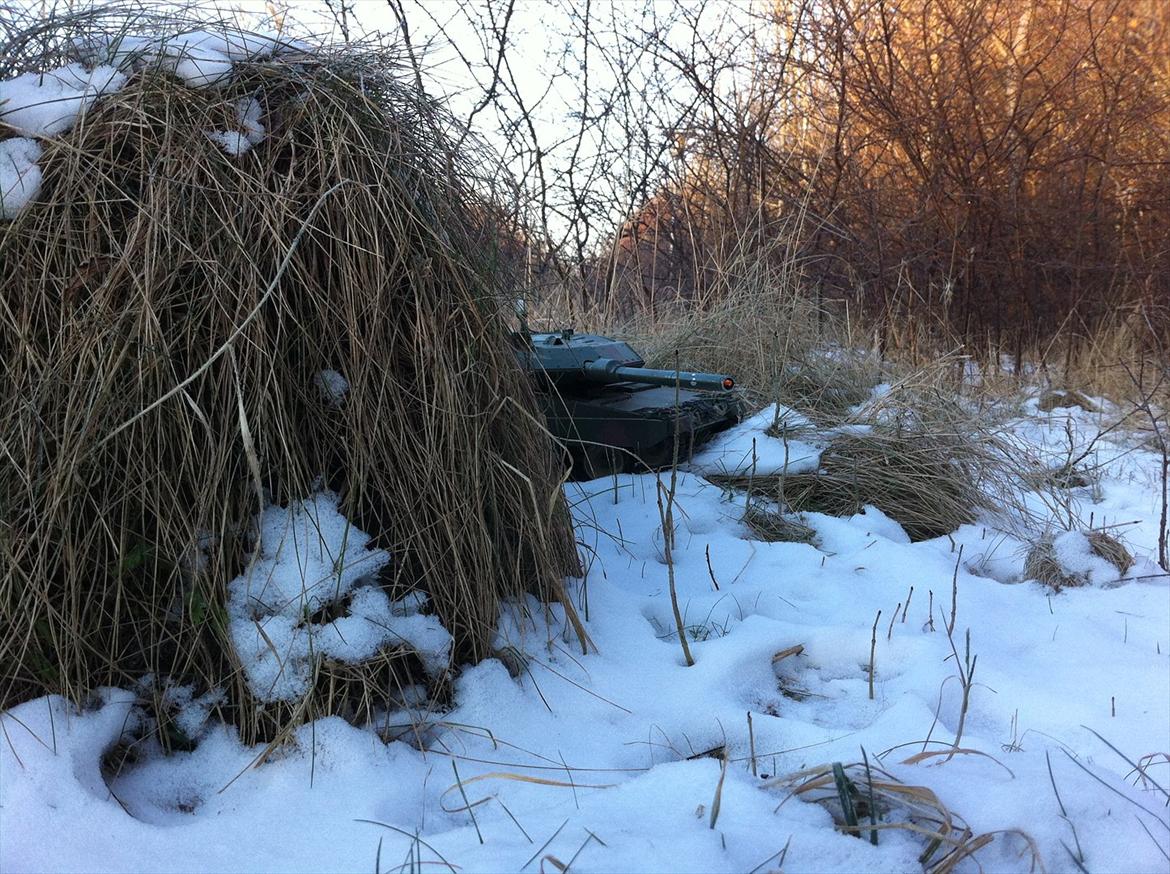 Militær | Leopard 2 billede 16