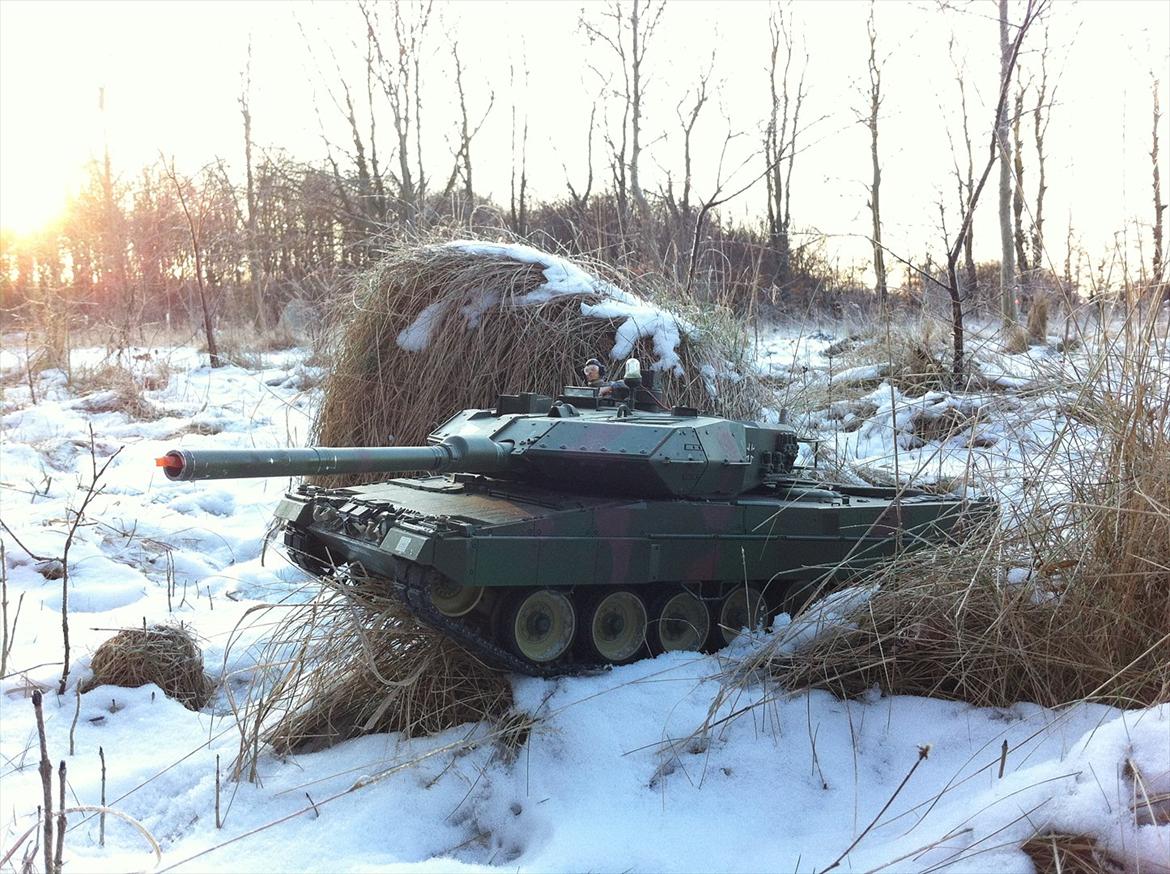 Militær | Leopard 2 billede 17