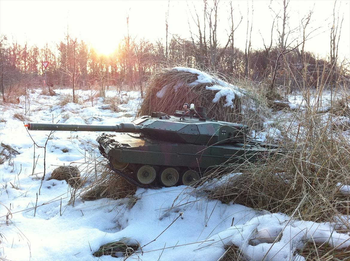 Militær | Leopard 2 billede 18