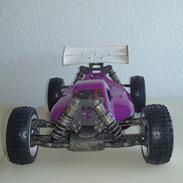 Buggy Xray 808, 2011 spec.