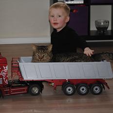 Lastbiler Scania R560 Highline Ta