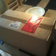 Militær Tiger 1, early model(Heng Long)