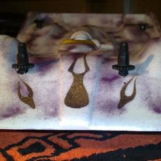 Bil Corally sp12X wc lipo