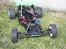 Buggy Ansmann mad rat <2> (rotten)