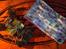 Bil Corally sp12X wc lipo