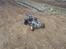 Buggy Elcon Cleon 08'