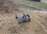 Buggy Elcon Cleon 08'
