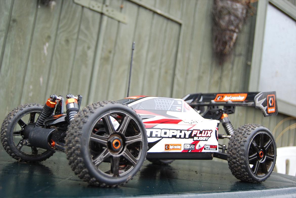 Buggy Trophy Buggy Flux billede 10