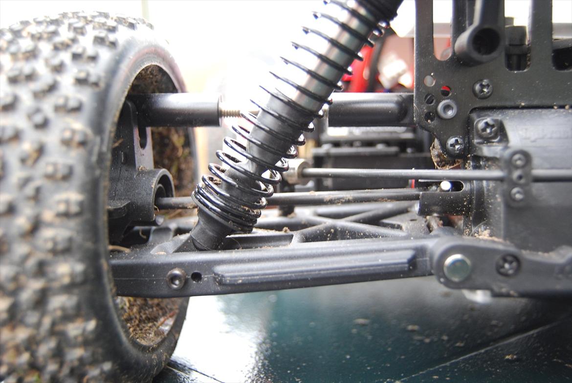 Buggy Trophy Buggy Flux billede 11