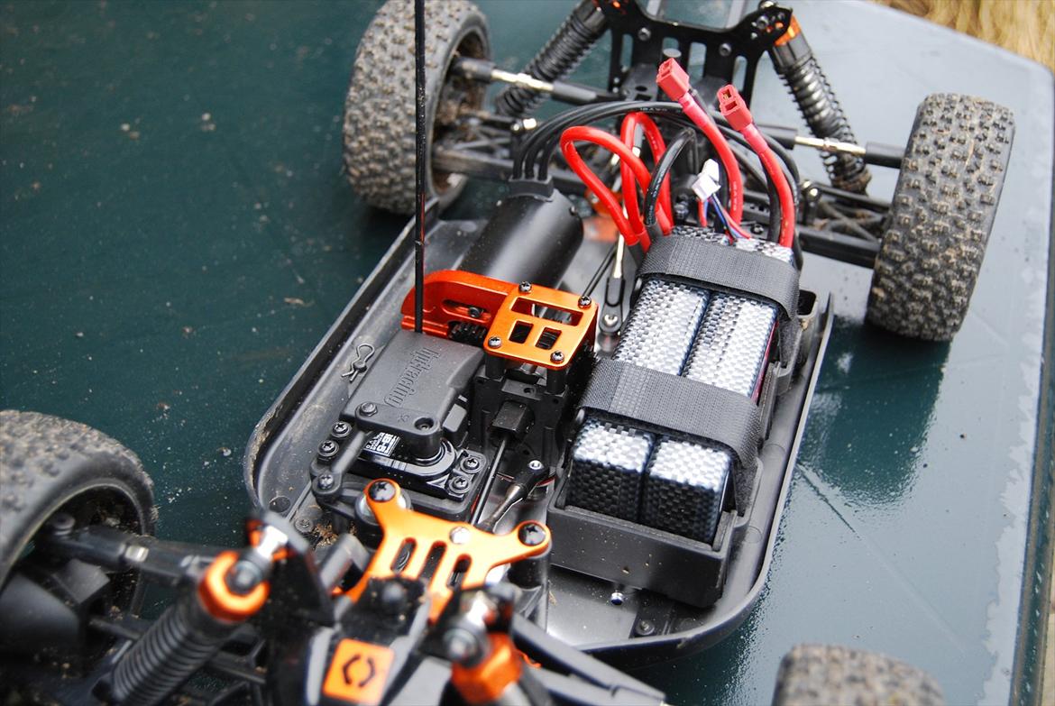 Buggy Trophy Buggy Flux billede 16