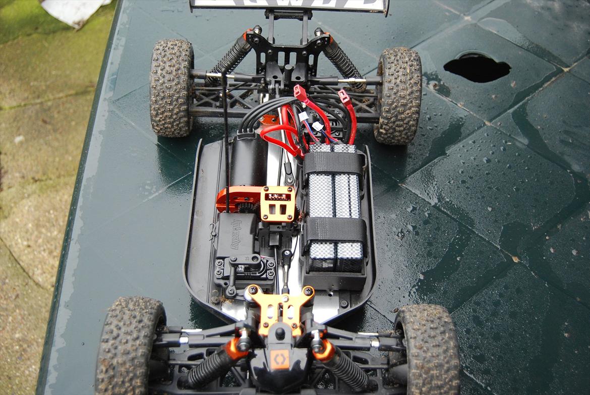 Buggy Trophy Buggy Flux billede 20