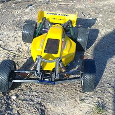 Buggy Team Associated B4