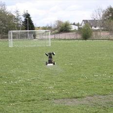 Buggy Fg Baja Buggy 2WD