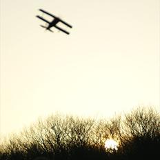 Fly UMX Beast 3D AS3X