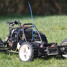 Off-Roader FG Beetle